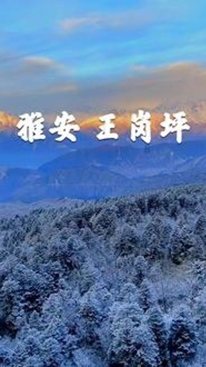 出生即离散，女子与父母分别36年，重庆警方助力人间团圆
